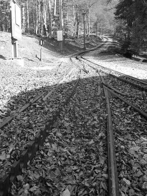 the tracks split. shot at the bellavista station.
