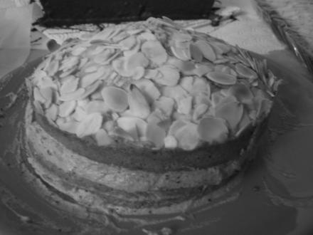 mandel-haselnuss-torte.